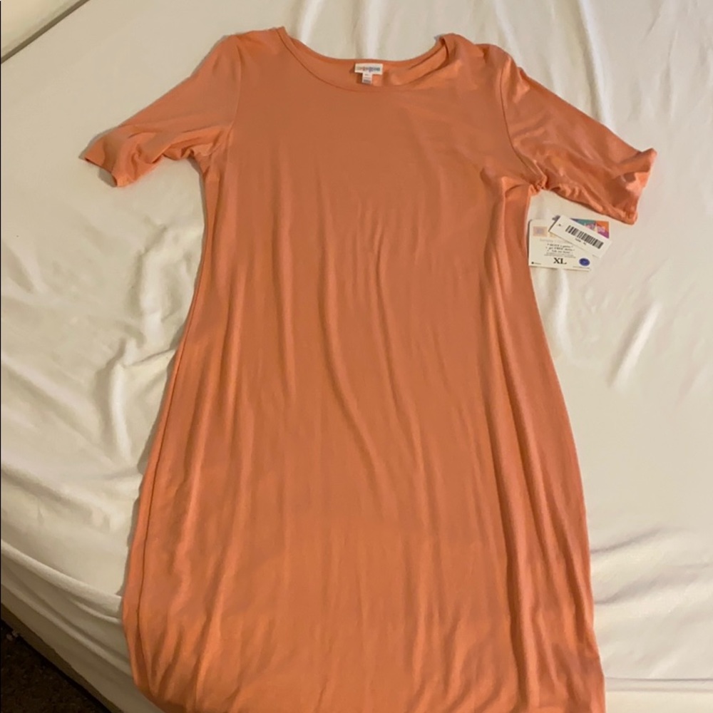 Brand new with tags Lularoe Julia Dress